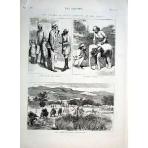   Royal Camp Sassoonah Nepaul Terai Antique Print 1876