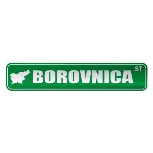   BOROVNICA ST  STREET SIGN CITY SLOVENIA