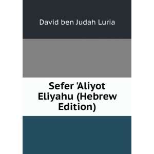   Sefer Aliyot Eliyahu (Hebrew Edition) David ben Judah Luria Books