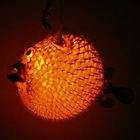 Puffer fish Orange lamp XXL 16 blowfish taxidermy  