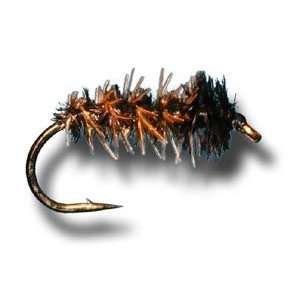  Cased Caddis Fly Fishing Fly