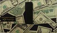 The Coupon Wallet® Basic Organizer Money Bucks  