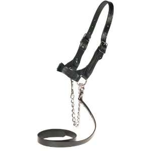    Flat Leather Halter   S (650 1000 lb calves)