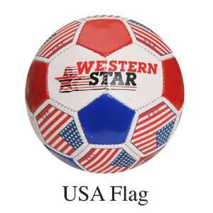 FIFA Celebration   World Cup Champion Size 5 Soccer USA Team with USA 