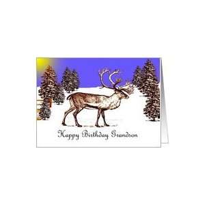   Happy Birthday ~ Grandson ~ Caribou In A Clearing Card Toys & Games