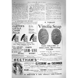    1894 ADVERTISEMENT VINOLIA SOAP CARTERS LIVER PILLS
