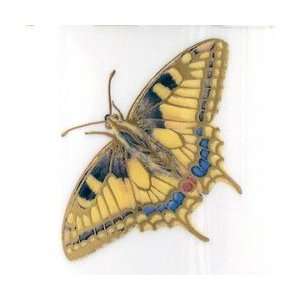  Pickard Wind & Wings 5 Piece Place Set Tiger Swallowtail 