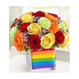   by 1800Flowers   The Rainbow Bouquet   Multicolored Roses   Large