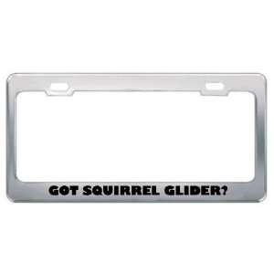 Got Squirrel Glider? Animals Pets Metal License Plate Frame Holder 