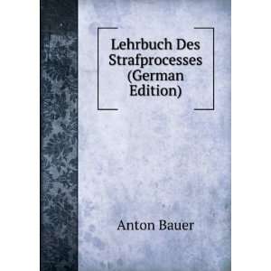    Lehrbuch Des Strafprocesses (German Edition) (9785874764661) Books