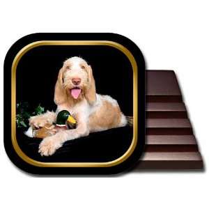 Spinone Italiano Coaster Set 