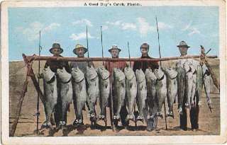 Postcard 936145 Men Fish A Good Days Catch FL Fishing Poles  