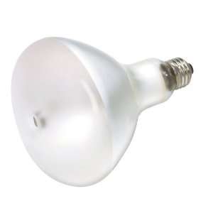   Light Bulbs S4260 HID Lamps   MH175W/U/R40/SP15