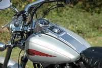 Harley Davidson  Softail  