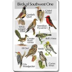  Identiflyer SongCard   SouthWest Songbirds Patio, Lawn & Garden