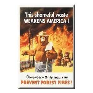  Smokey the Bear Prevent Forest Fires Magnet Kitchen 