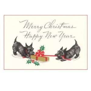  Scottie Dogs Wrapping Christmas Present Premium Giclee 