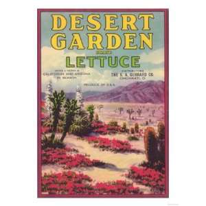  Desert Garden Lettuce Label   Cincinnati, OH Stretched 