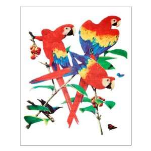  Small Poster Family Of Parrots On Tree 