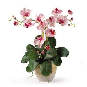  Triple Mini Phalenopsis Silk Orchid Arrangement