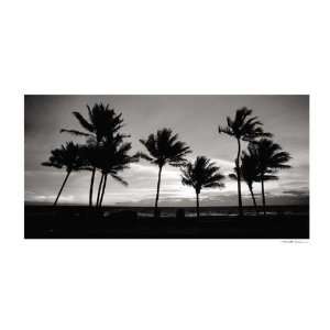  Sunrise Palms by Harold Silverman. Size 24.00 X 12.00 Art 