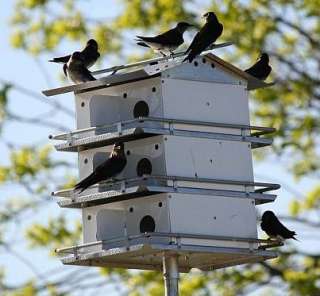 COATES ORIGINAL PURPLE MARTIN BIRD HOUSE 12 RM W/ PREDATOR GUARD FULLY 