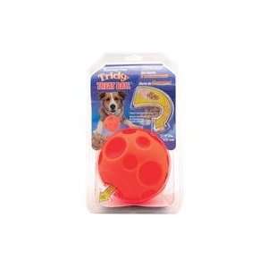 Best Quality Tricky Treat Ball / Orange Size Large By 