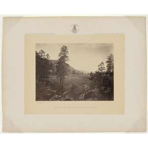  Cooleys Park,Sierra Blanca Range,meadow,trees,AZ,1873 