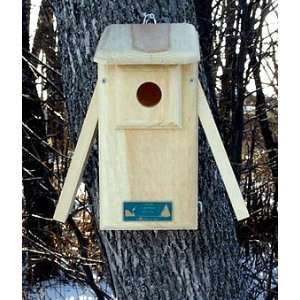  Observation Bluebird Bird House Nesting Box   Two Sides 
