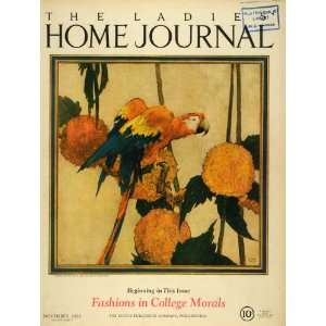  1925 Cover Ladies Home Journal Parrot Flowers Perch 