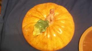 Cooks Club Pumpkin Pie Cover Dish Ceramic Vine Leaf  