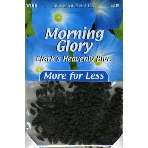   Pack   Morning Glory   Clarks Heavenly Blue Patio, Lawn & Garden