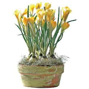  Sunny Crocus Bulb Pan Faux Floral Planter