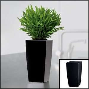  Mini Cubi Planter   4x4x7   Black *Clearance*