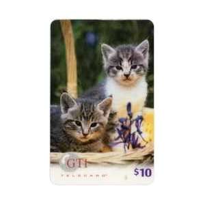   Phone Card $10. Two Cute Kittens (Cats) SAMPLE 