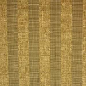  99266 Harvest by Greenhouse Design Fabric