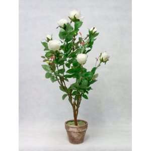  ROSE BUSH 33 Inch Tall Artificial White in a Pot   Free 