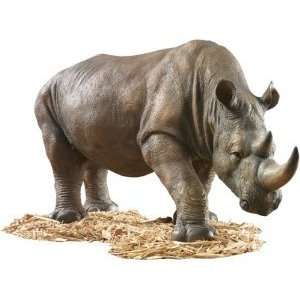  South African Rhino