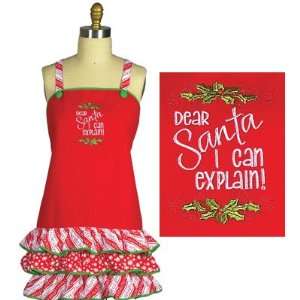   Can Explain Christmas Embroidered Frill Kitchen Apron