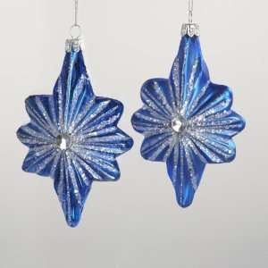  Club Pack of 12 Blue Glass Star Christmas Ornaments with 