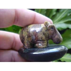   Gemqz Green Serpentine Hippo w/ Black Base Cute  