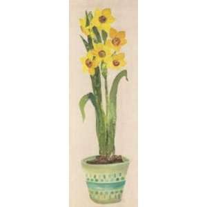  Dazzling Daffs (Canv)    Print