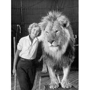  Lion Tamer Judy Allen, Standing Beside Her Beloved Lion 