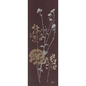   Meadow Flower   Poster by Alan Johnstone (9.84x27.56)