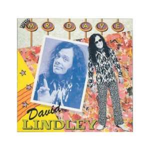 DAVID LINDLEY MR DAVE CD 1985 JACKSON BROWNE  