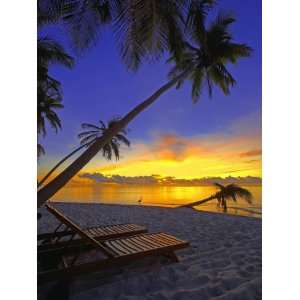  Deckchair on Tropical Beach by Palm Tree at Dusk and Blue 