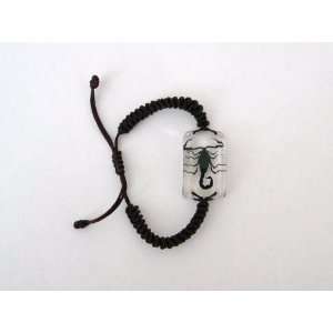  Clear Real Insect Bracelet   Black Scorpion (SL1591 