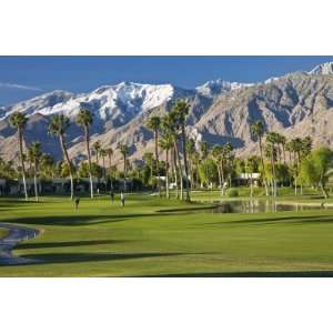  Desert Princess Golf Course and Mountains, Palm Springs, California 