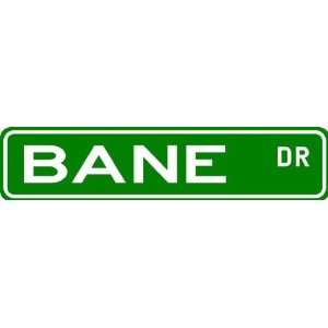 BANE Street Sign ~ Family Lastname Sign ~ Gameroom, Basement, Garage 