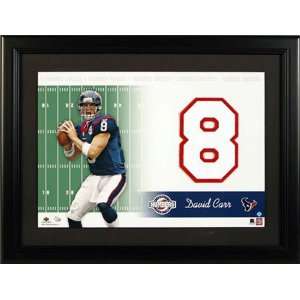  David Carr Houston Texans Unsigned Jersey Numbers Piece 